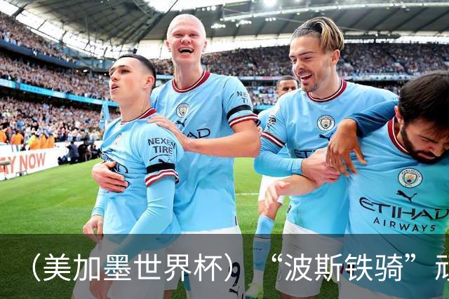 （美加墨世界杯）“波斯铁骑”顽强两连平 伊朗队期待更进一步